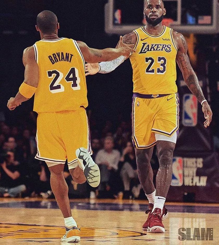 团体冠军！济职学子闪耀山东省高校匹克球锦标赛（济职学子勇夺山东省高校匹克球锦标赛团体桂冠）